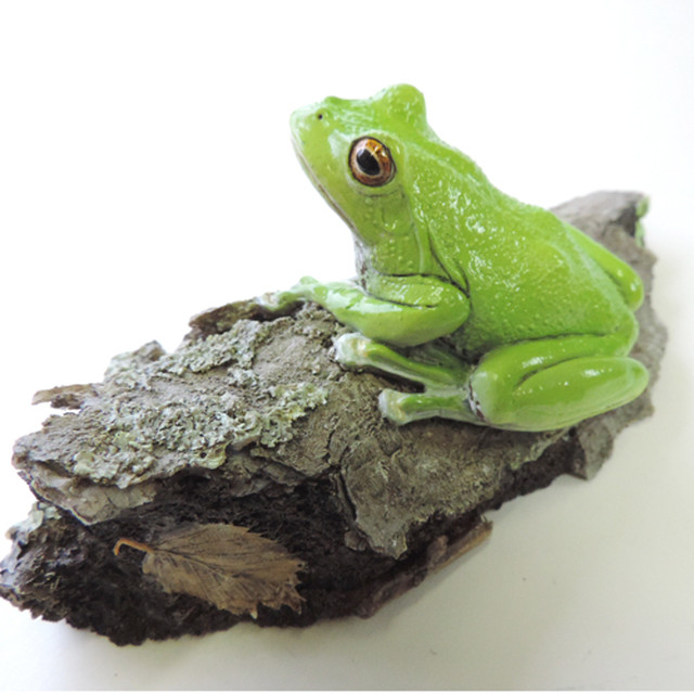 モリアオガエルの散策 Forest Green Tree Frog Kaerukoubou