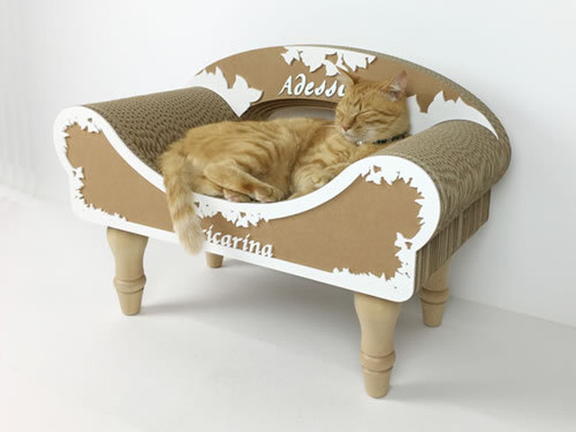 カリカリーナadesso Chii