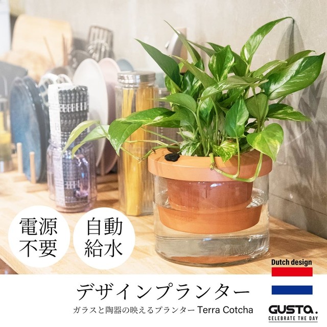 自動給水プランター 植木鉢 Terra Cotcha Gusta Japan