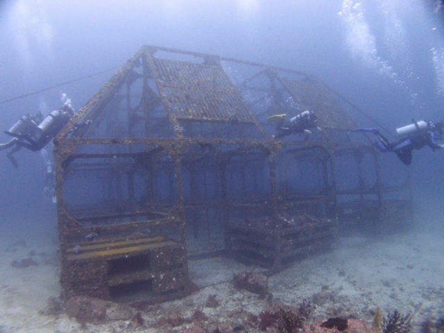 初島2ビーチツアー ダイブマスター ダイビングショップ アバロ Diving Shop Abaro