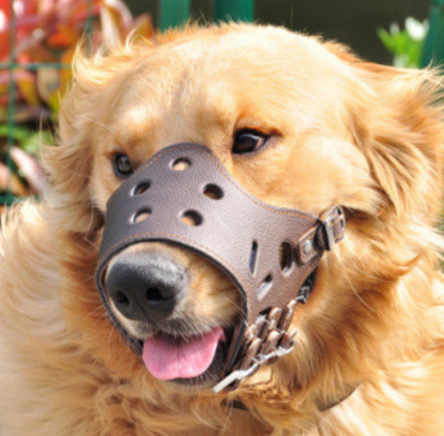 犬用口輪 M 無駄吠え防止 噛み付き防止 舐め防止 ティートレードマーケティング