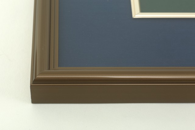 色紙額 色紙サイズ 楓林堂