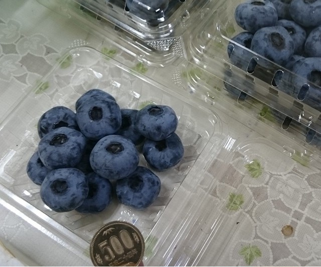 夏季限定 超ビッグサイズ生食用ブルーベリー チャンドラー 100ｇパック4個入り 門前おくでらブルーベリー園