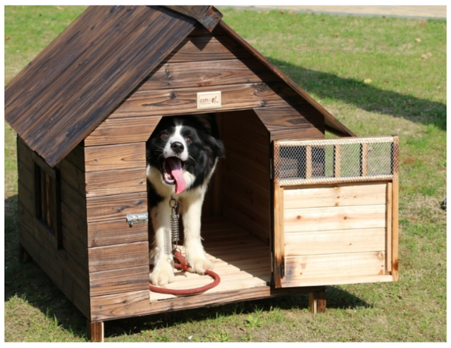 天然木製の犬小屋 サイズ 木で組立てる犬小屋 屋根 取り外しお掃除ラクラク ワンちゃんハウス ドア付き Diyする犬小屋 2台即納可能 ワンちゃん用セレクトショップワンワンダフル