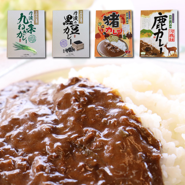 京都 森のカレーセット