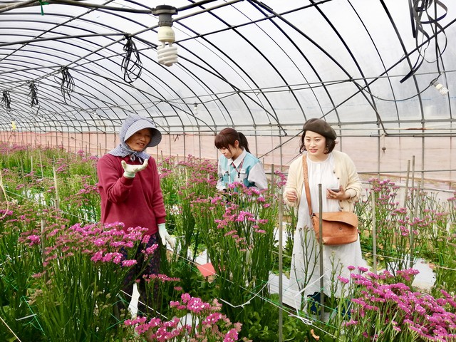 送料込み お花アソート ガーベラ ダリア デルフィニウム スターチス 40本セット Flower Cycle Marche 株式会社rin