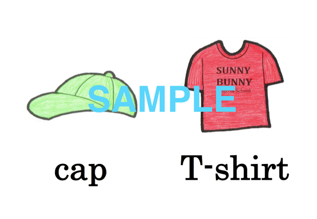 Clothes 絵 英単語 フラッシュカードデータ カラー Sunny Bunny 英語教材オンラインショップ