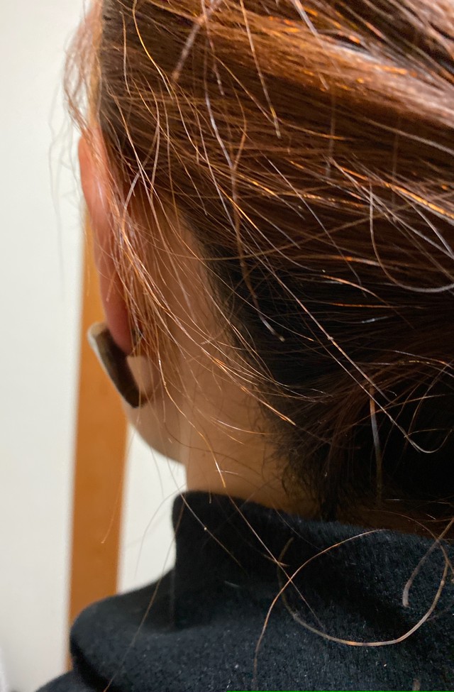 熊さんの爪のピアスs 小さな戦士の爪の跡 Craftsman Of The Bounty Of Nature