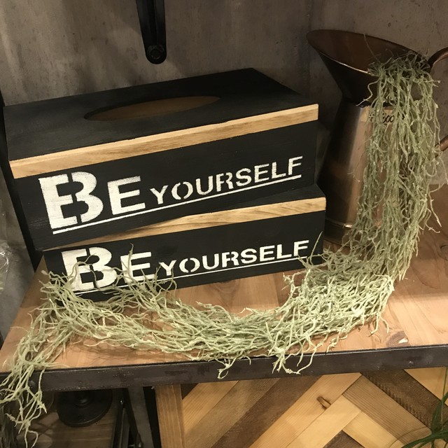 スパニッシュモス S チランドシア ウスネオイデス Ichisworks