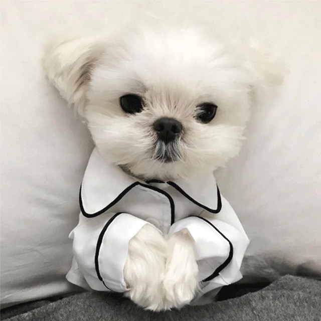 パジャマ 全4色 部屋着 ルームウェア 犬服 ドッグウェア ペット服 寝巻き Bandp Dog Wear わんこのお洋服 犬服 ペット服