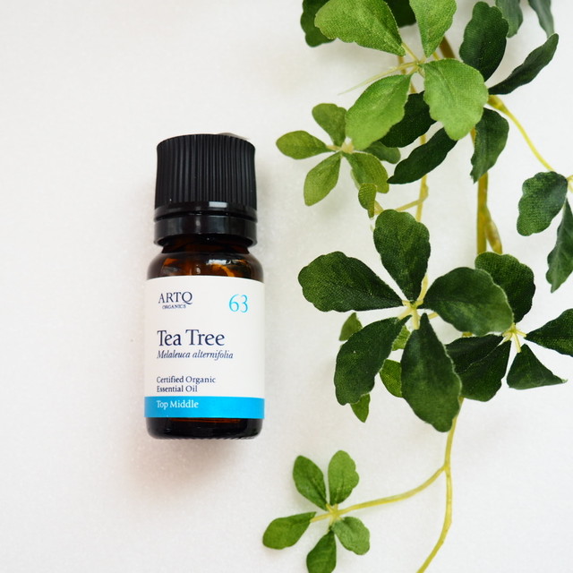 ローズマリーシネオール精油10mlアロマオイル エッセンシャルオイル はりきゅうアロマあんずの種