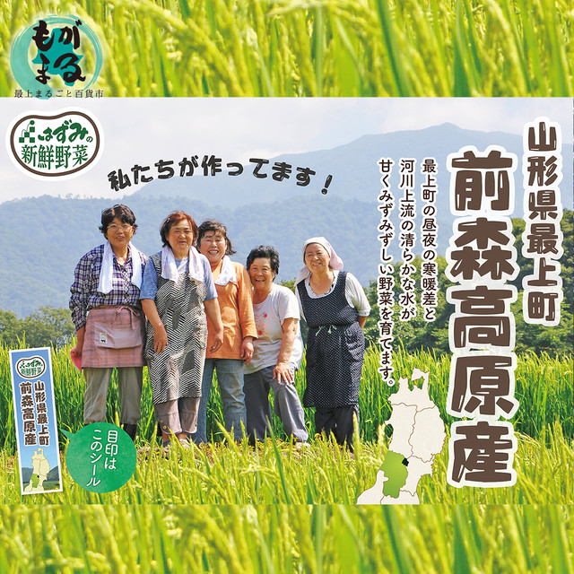 【火曜日、金曜日 限定発送商品】前森高原野菜 お任せセット