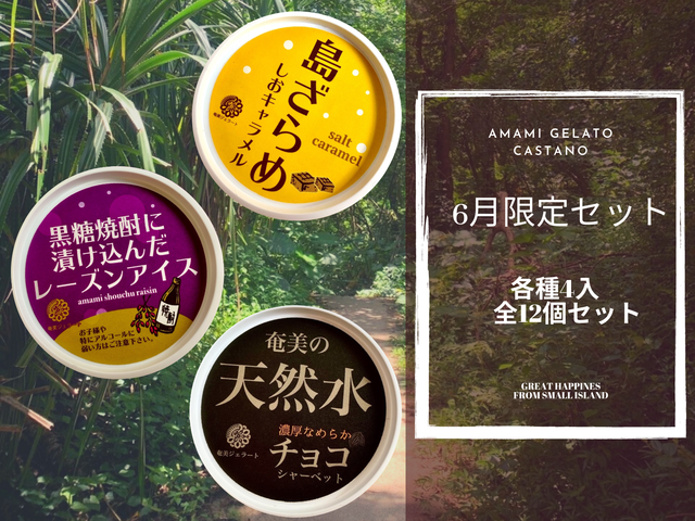 6月限定セット!(12個入)