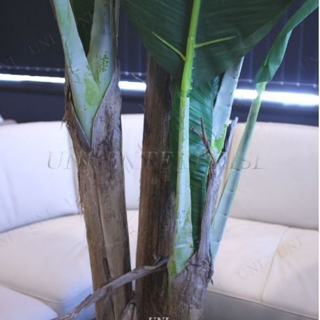 人工観葉植物 光触媒 バナナツリー 5cm インテリア 内装