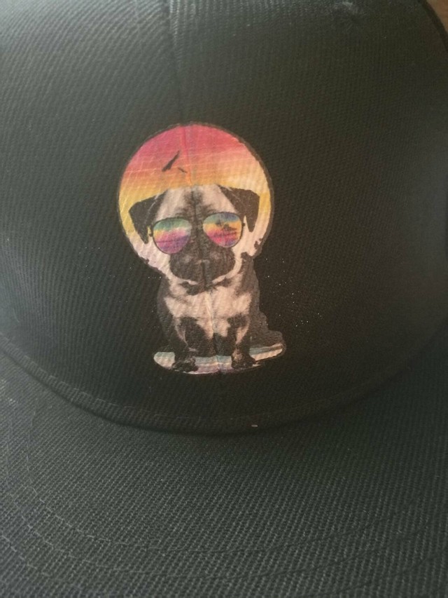 インポート メガネ パグ キャップ Pug Cap メンズ レディース 帽子 Puni