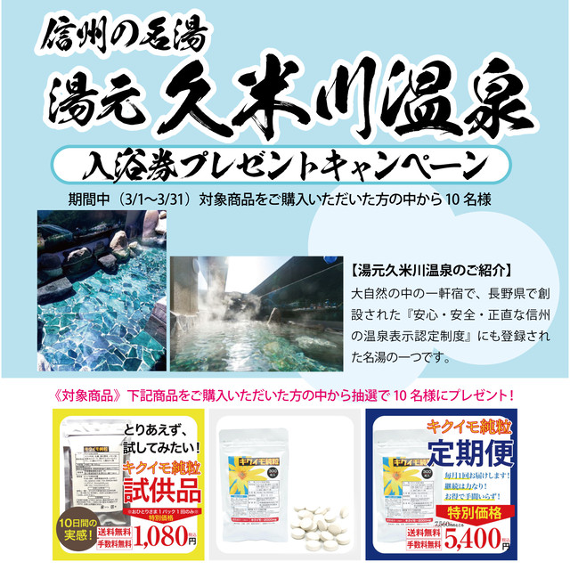 温泉券プレゼントキャンペーン実施中 送料無料 キクイモ純粒 100粒 10日分 試供品 お一人様１パック１回のみ キクイモ純粒本舗