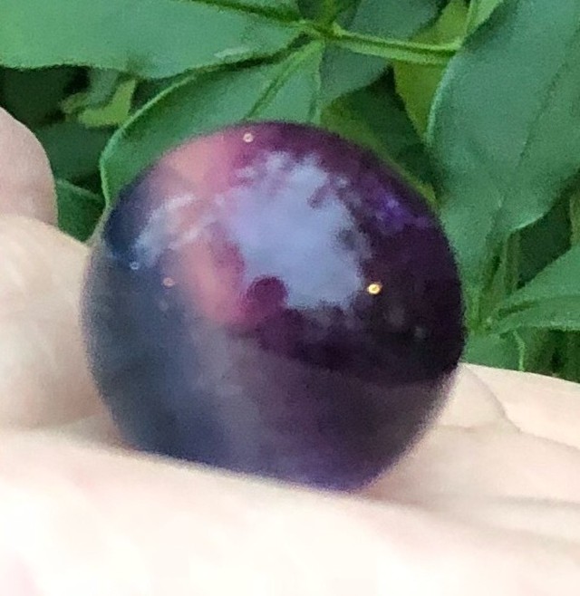 11 6新着 滞っていた気の流れを整える フローライト丸玉 Tsuryu 鶴龍 オンラインショップ