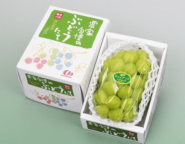 瀬戸ジャイアンツ