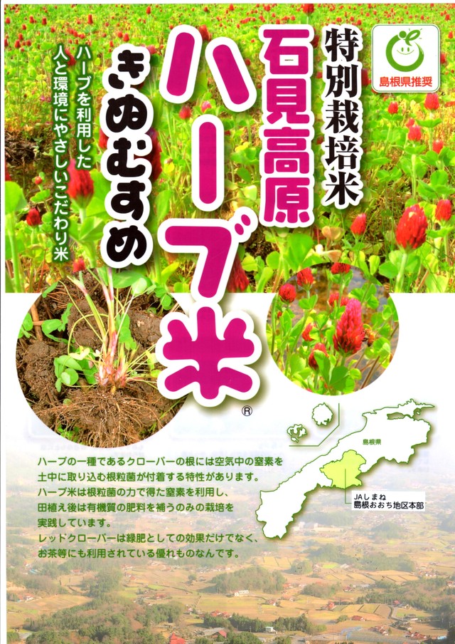 花むすめ 肥料 3310 花むすめ 肥料 Picture Downloadfjti