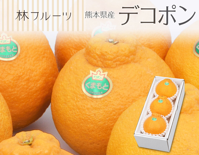 熊本県産 デコポン3玉(計約900g)〔送料無料、デコポン、不知火、柑橘、詰め合わせ、贈答用〕