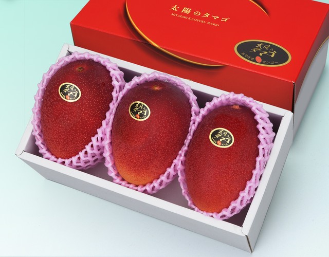 宮崎産 太陽のタマゴ【2L3玉(計約1kg)】