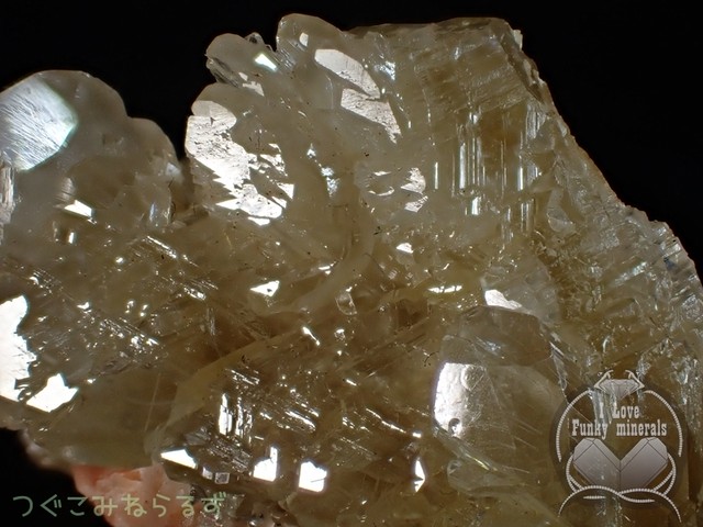 セルサイト 白鉛鉱 モロッコ Tm 076 つぐこみねらるず 鉱物 原石 天然石の販売