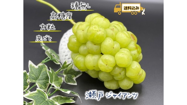 【限定4名様】瀬戸ジャイアンツ 1房