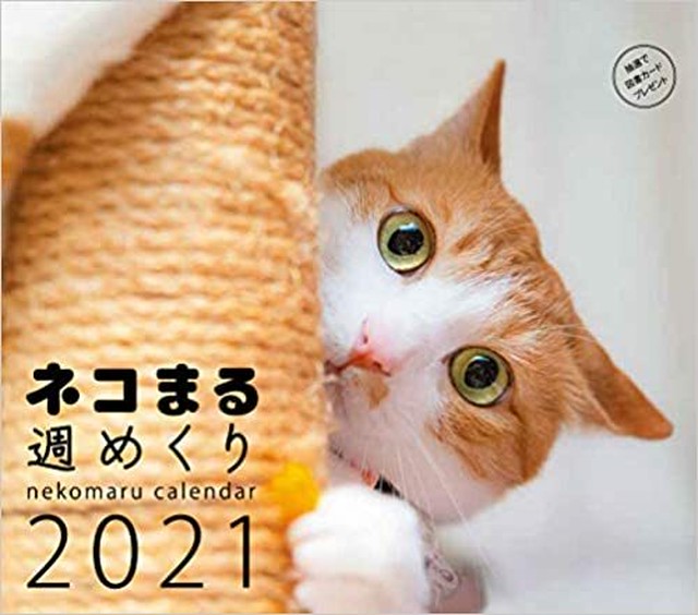 新品 21カレンダー ネコまる 週めくり ひるねこbooks