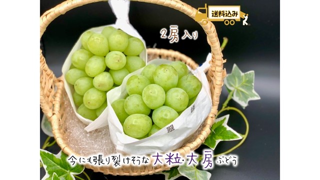 【限定2名様】翠峰 2房