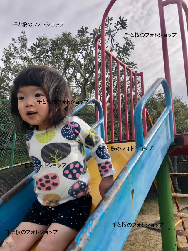 公園で遊ぶ女の子 Sakura 2歳 千と桜のフォトショップ