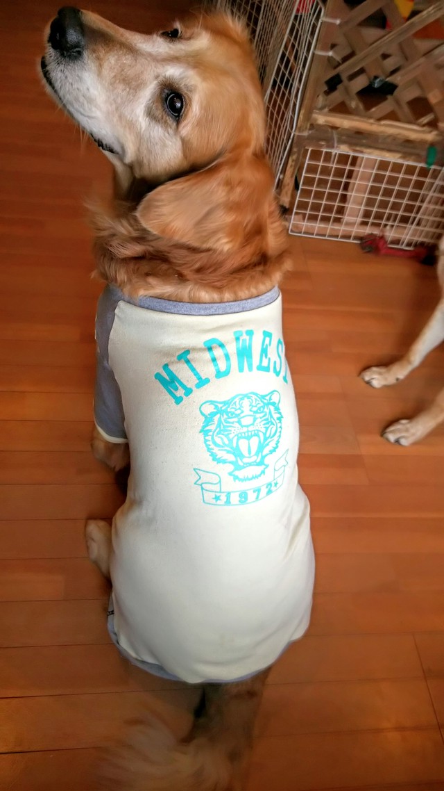 リメイク犬服tシャツ Llサイズ ハンドメイドショップ けだま