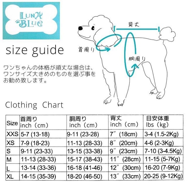 ルナブルー ベアーギフトボックスタンク 犬服 ドッグウェア 犬ウェア かわいい犬服 Dog Dog Select Shop Ange ドッグセレクトショップアンジュ