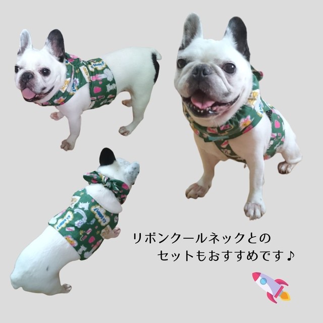 ホルターオール グリーンポップ フレンチブルドッグ雑貨 Puccina プッチーナ ホルターオール グリーンポップ フレンチブルドッグ雑貨 Puccina プッチーナ