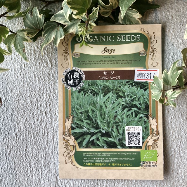 ハーブ セージ コモンセージ Organic Seeds 有機種子 固定種 橋本種苗園