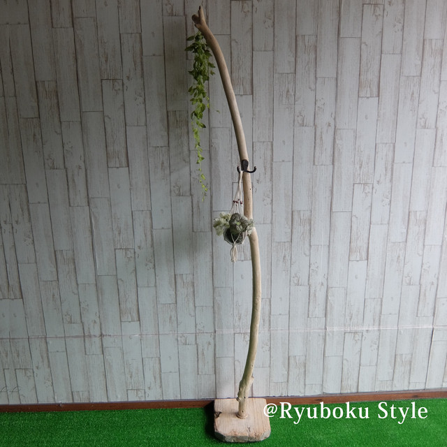 スタンド160cm Sd0014 流木ディスプレイスタンド 観葉植物スタンド 流木ランプ インテリア インテリアフックダブル付き 流木販売 流木の宝庫 流木専門店 流木スタイル