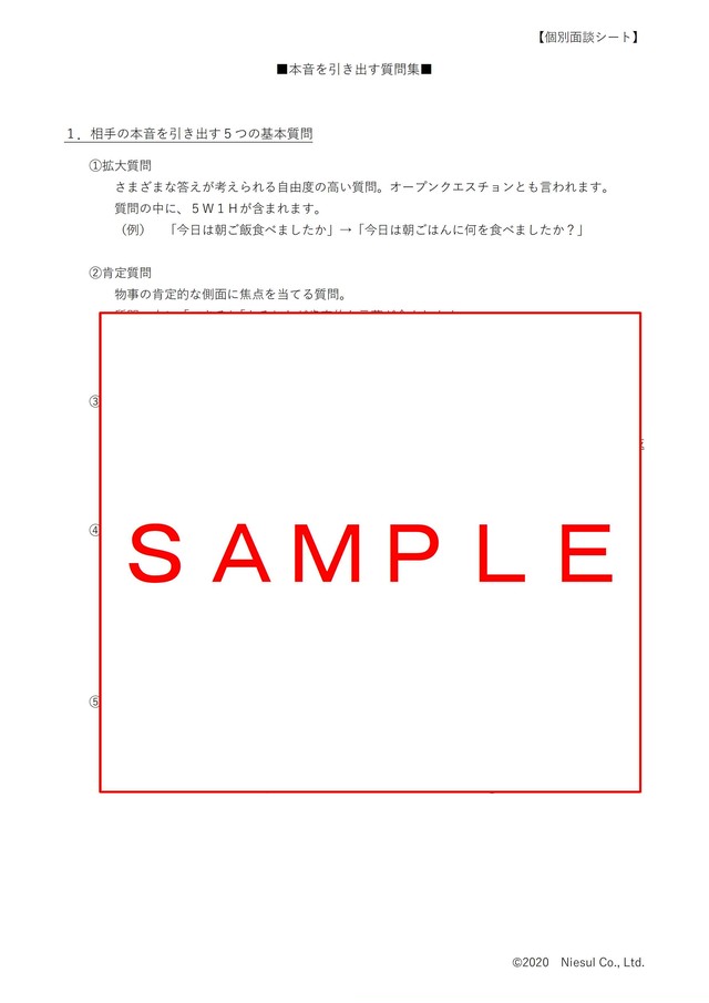 ニースル 個別面談シート Word ダウンロード版 Niesul ニースル