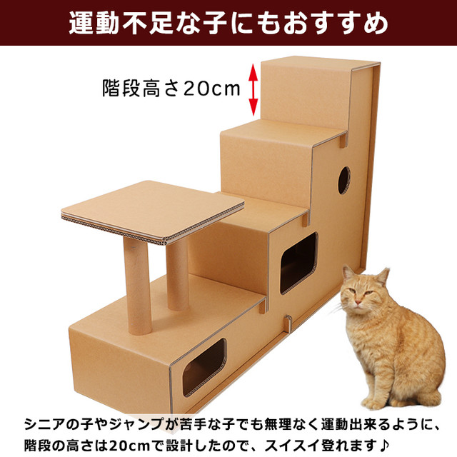 段ボール キャットタワー 多頭飼い 大型猫にもおすすめ Asobidan アソビダン