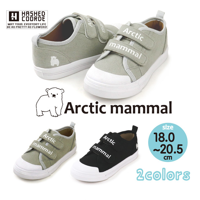 キッズ Arctic Mammal 毎日スニーカーhck0312 シロクマベルクロスニーカー Hashedcoorde