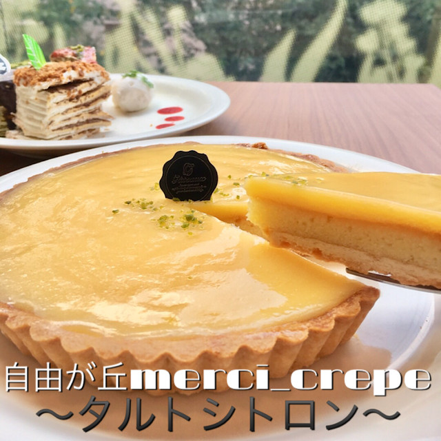 タルトシトロン 6号 ホールケーキ 冷凍 レモン 自由が丘merci Crepe