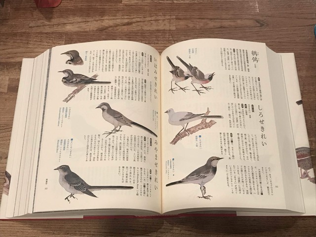 江戸鳥類大図鑑 よみがえる江戸鳥学の精華 観文禽譜 堀田正敦 百年 Old New Select Bookshop 百年