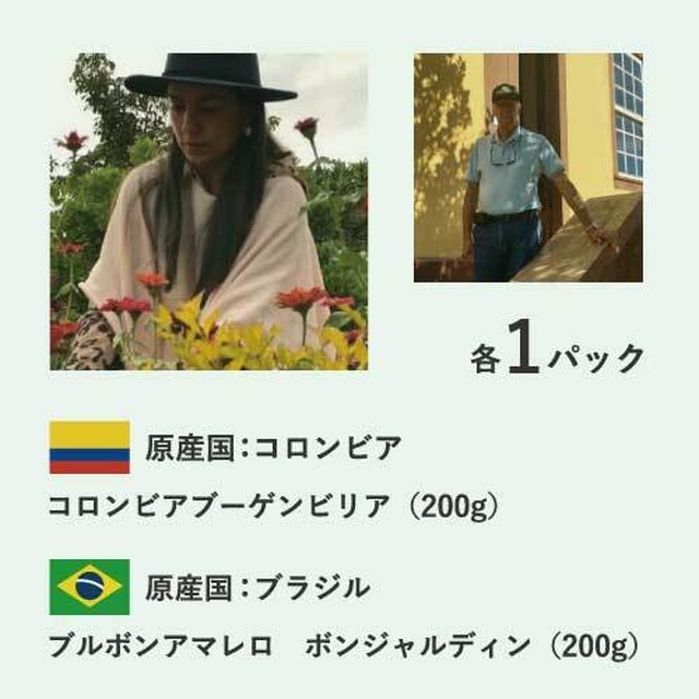 2個1セット 各0g ブラジル ブルボンアマレロ コロンビアブーゲンビリア 須磨コーヒー
