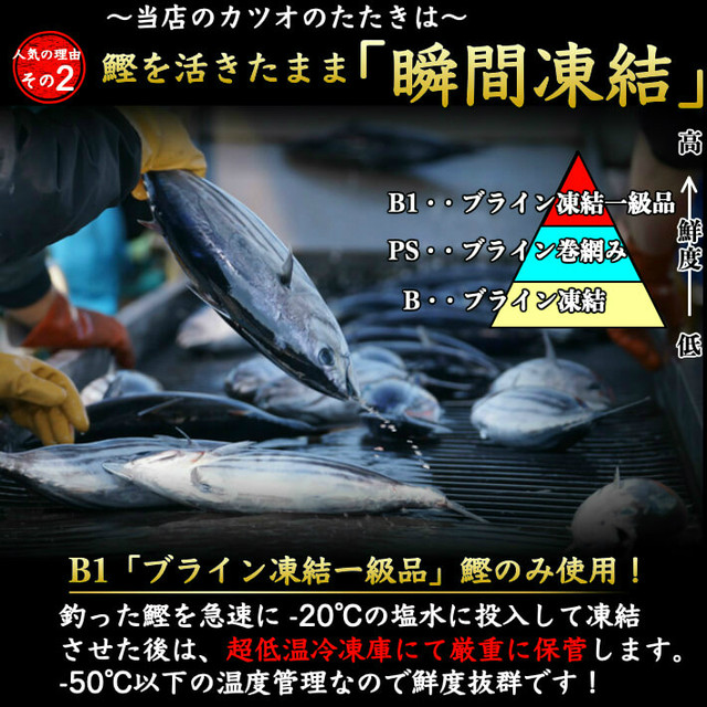 本場高知 カツオの塩たたき 2節 約5人前 タレ 粗塩 一本釣り 誕生日 トロ鰹 冷凍便 送料無料 ギフト 海鮮 贈答 土佐カツオとうなぎの通販 高知の旬をお届けする 池澤鮮魚マリンオンラインショップ