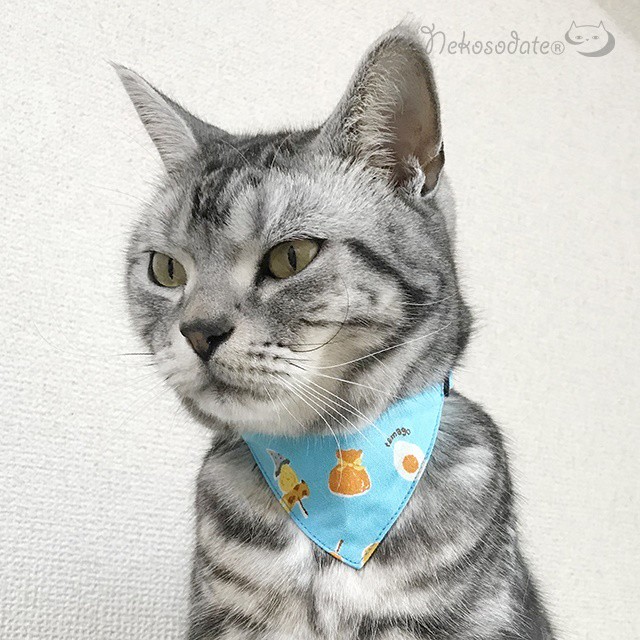 おでん柄 猫用バンダナ風首輪 選べるアジャスター 猫首輪 安全首輪 子猫から成猫 ネコソダテ 猫用首輪専門店 猫の首輪 迷子札 猫用品 猫雑貨
