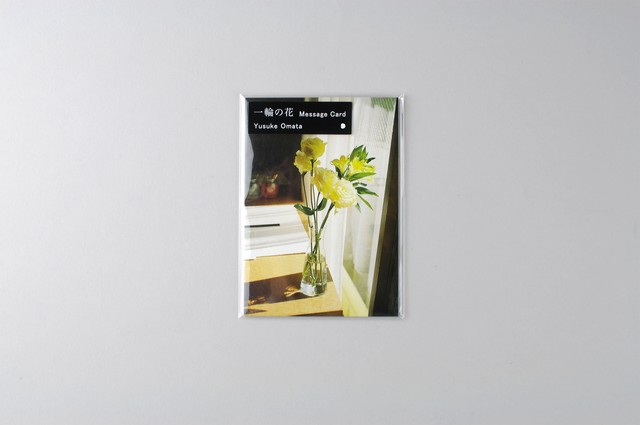 一輪の花メッセージカード 第２弾 Yusukeomata