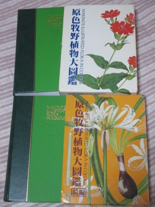 原色牧野植物大図鑑 原色牧野植物大図鑑 続編 の2冊 北隆館 大図鑑 は昭和61年刊 続編 は昭和60年刊 27 箱 ビニールカバーはありません 定価2冊で円 状態は 経年並みです 本体は まず7きれいな状態ですが 箱には使用感があり 縁の折れ