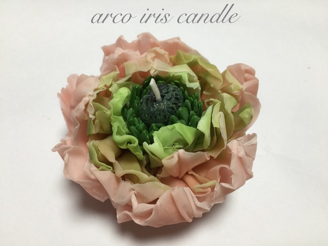 ハーマイオニー ラナンキュラス のキャンドル Arco Iris Candle