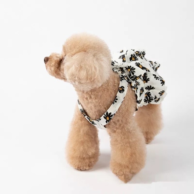 全2色 モノトーン お花柄 ワンピース フリル リボン 犬服 ドッグウェア ペット服 わんこ Bandp Dog Wear わんこのお洋服 犬服 ペット服