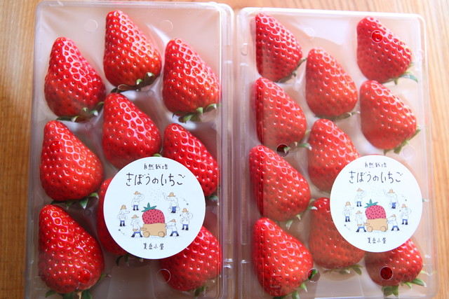 きぼうのいちご 品種 紅ほっぺ 配送用パック２パックセット 美岳小屋