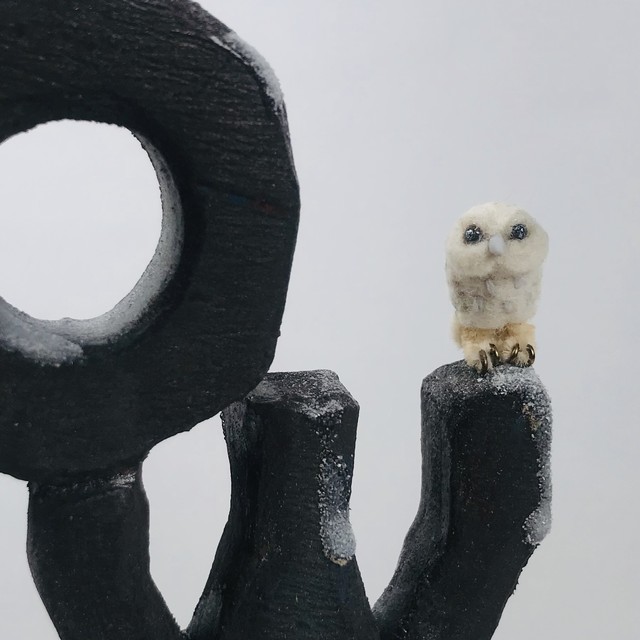【ふくろうズ byフジタサンプル】「OWL」