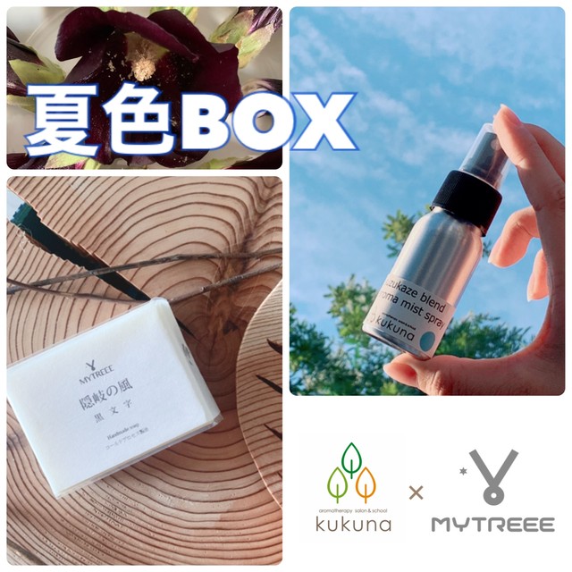 黒文字茶 Mytreee